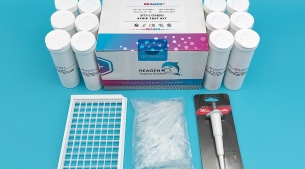 氟喹喏酮（肉類）快速檢測(cè)試紙條