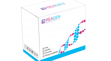 大腸埃希氏菌O157:H7恒溫核酸檢測試劑盒